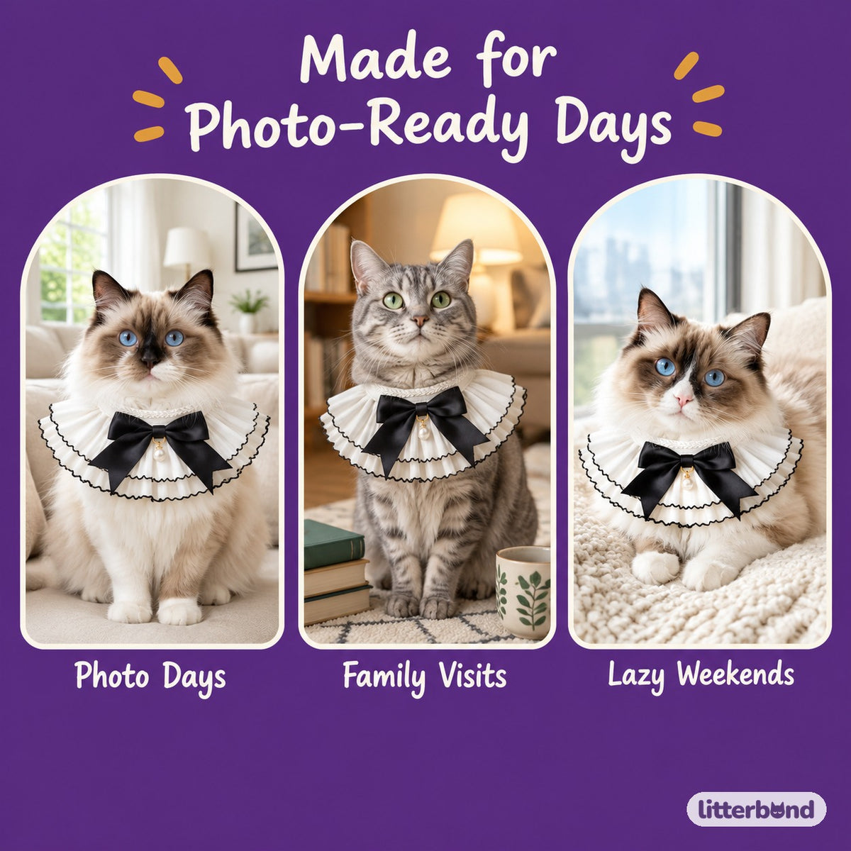 Black Bow Pleated Chiffon Collar on a cat at home