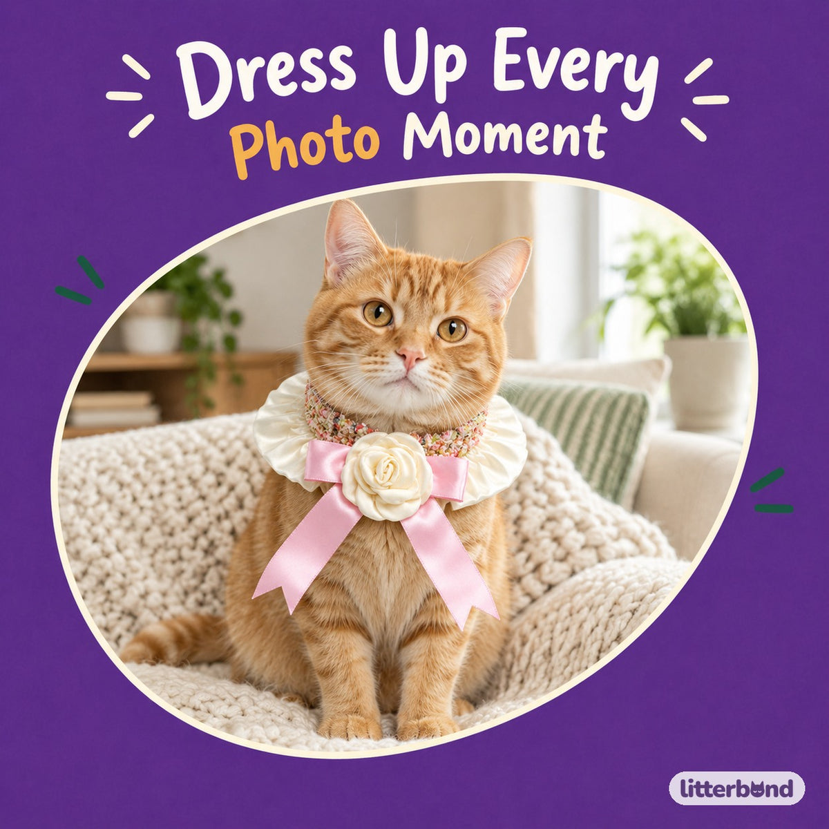 Satin Camellia Ruffle Collar on a cat