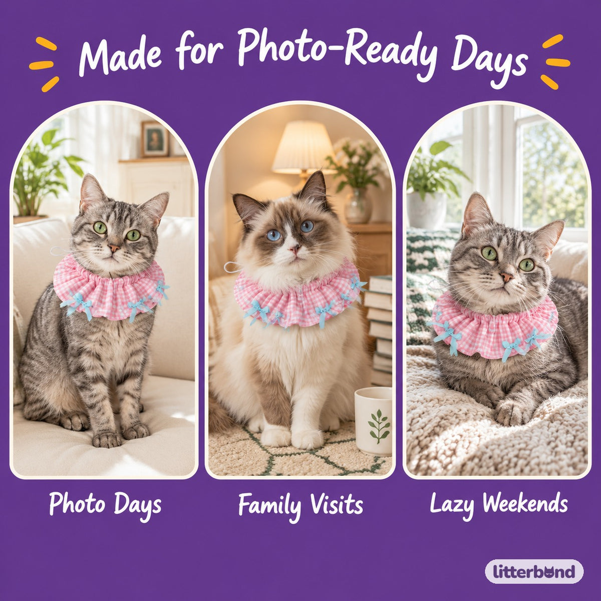 Cotton Print Scrunchie Collar on a cat at home