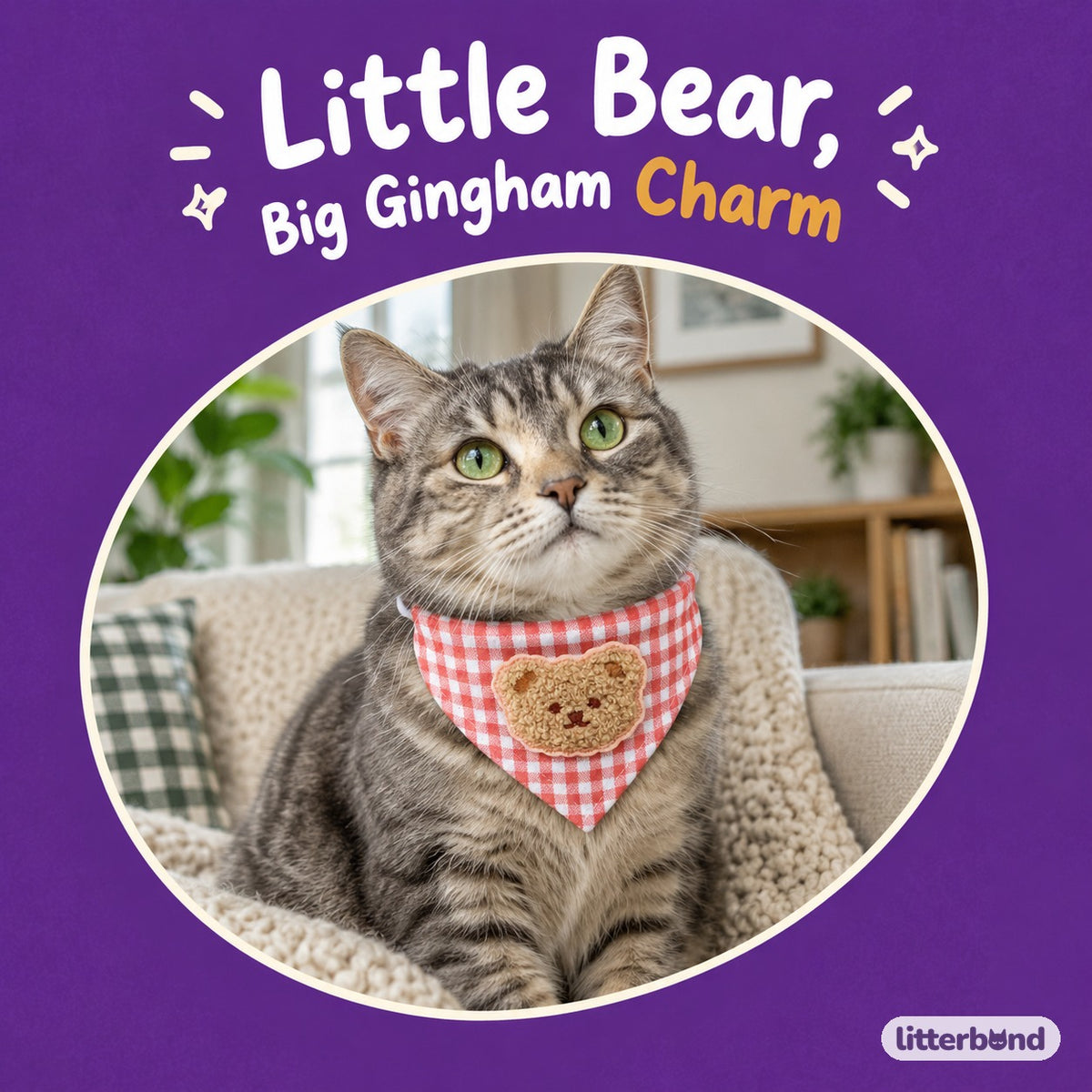 Teddy Bear Gingham Bandana on a cat
