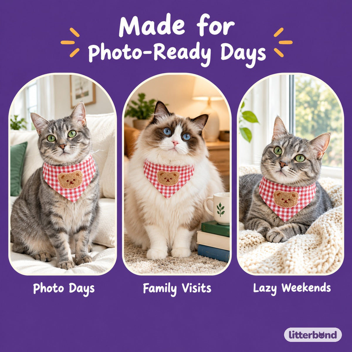 Teddy Bear Gingham Bandana on a cat at home