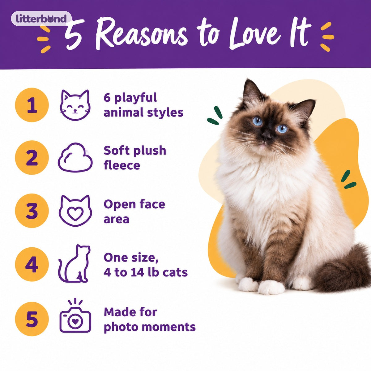 Plush Animal Hood - 5 reasons to love it