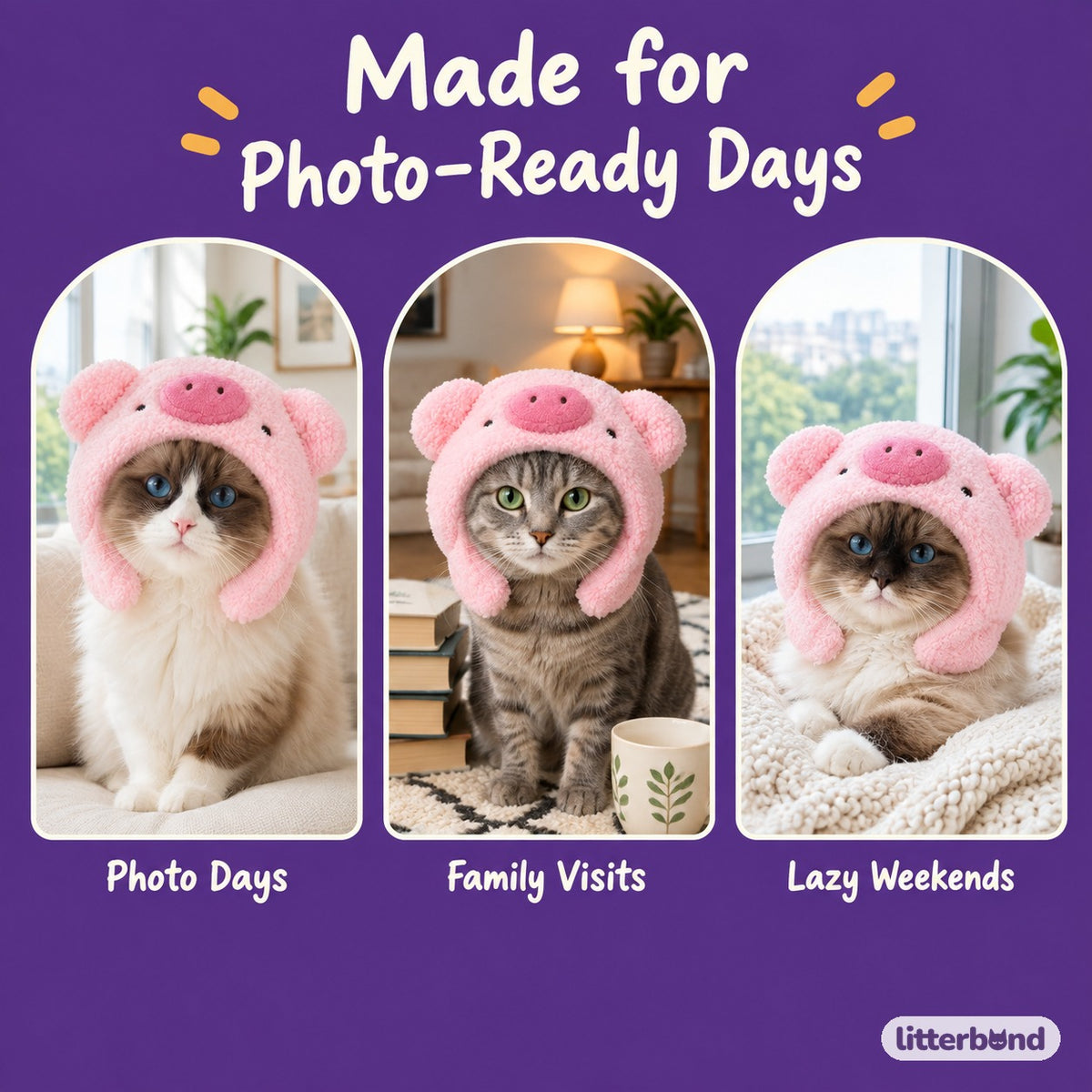 Plush Animal Hood on a cat at home