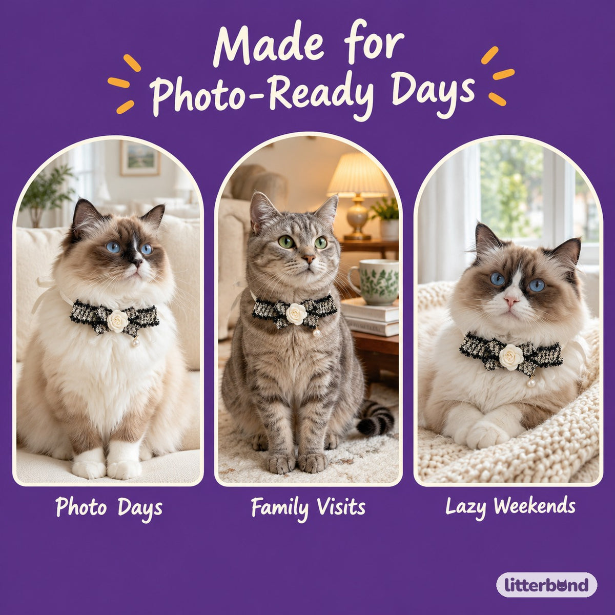 Tweed-Style Flower Ribbon Collar on a cat at home