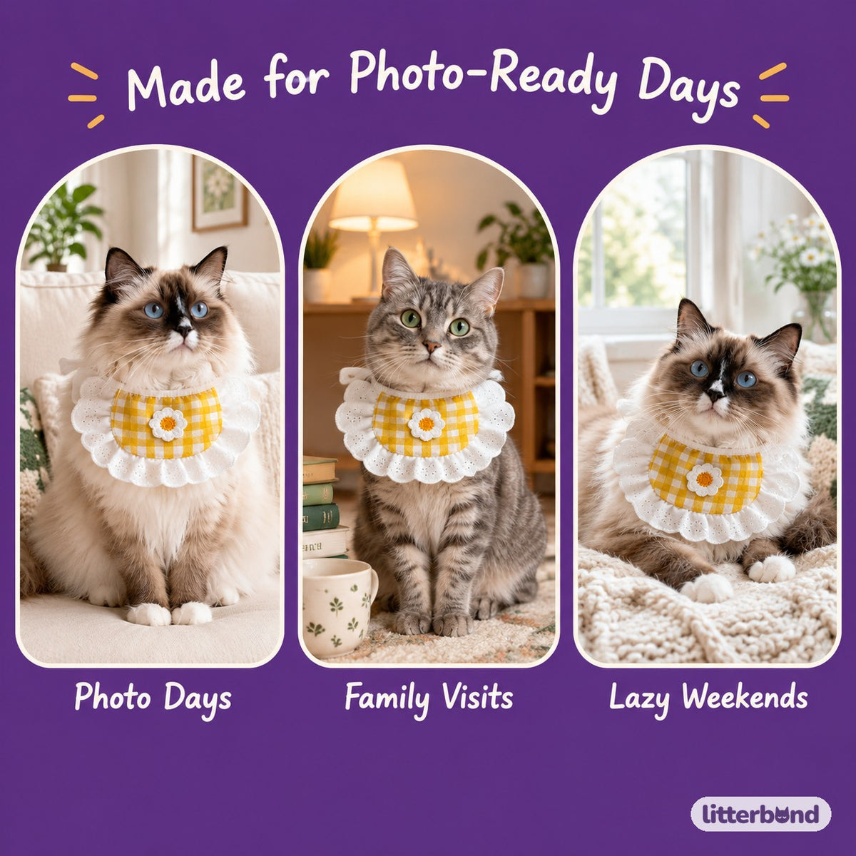 Daisy Gingham Lace Bib on a cat at home