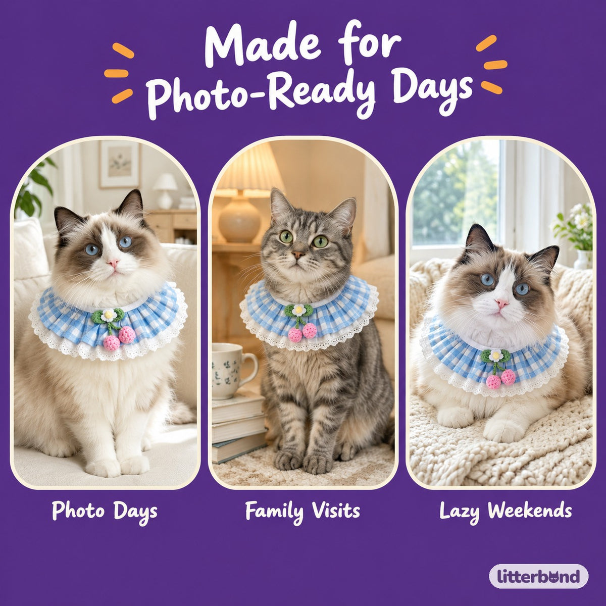 Pleated Gingham Cherry Collar on a cat at home