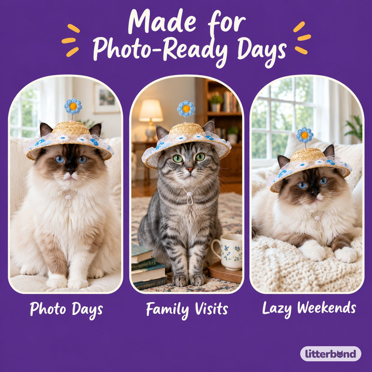 Spring Flower Straw Hat on a cat at home