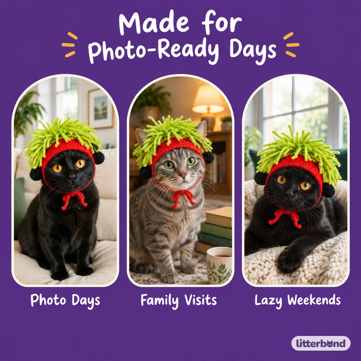 Yarn Hair Crochet Hat on a cat at home