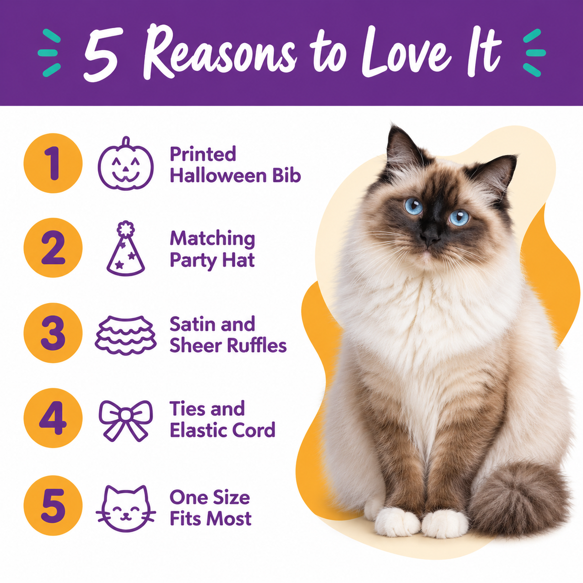 LitterBond Halloween Bib & Party Hat Set - 5 reasons to love it