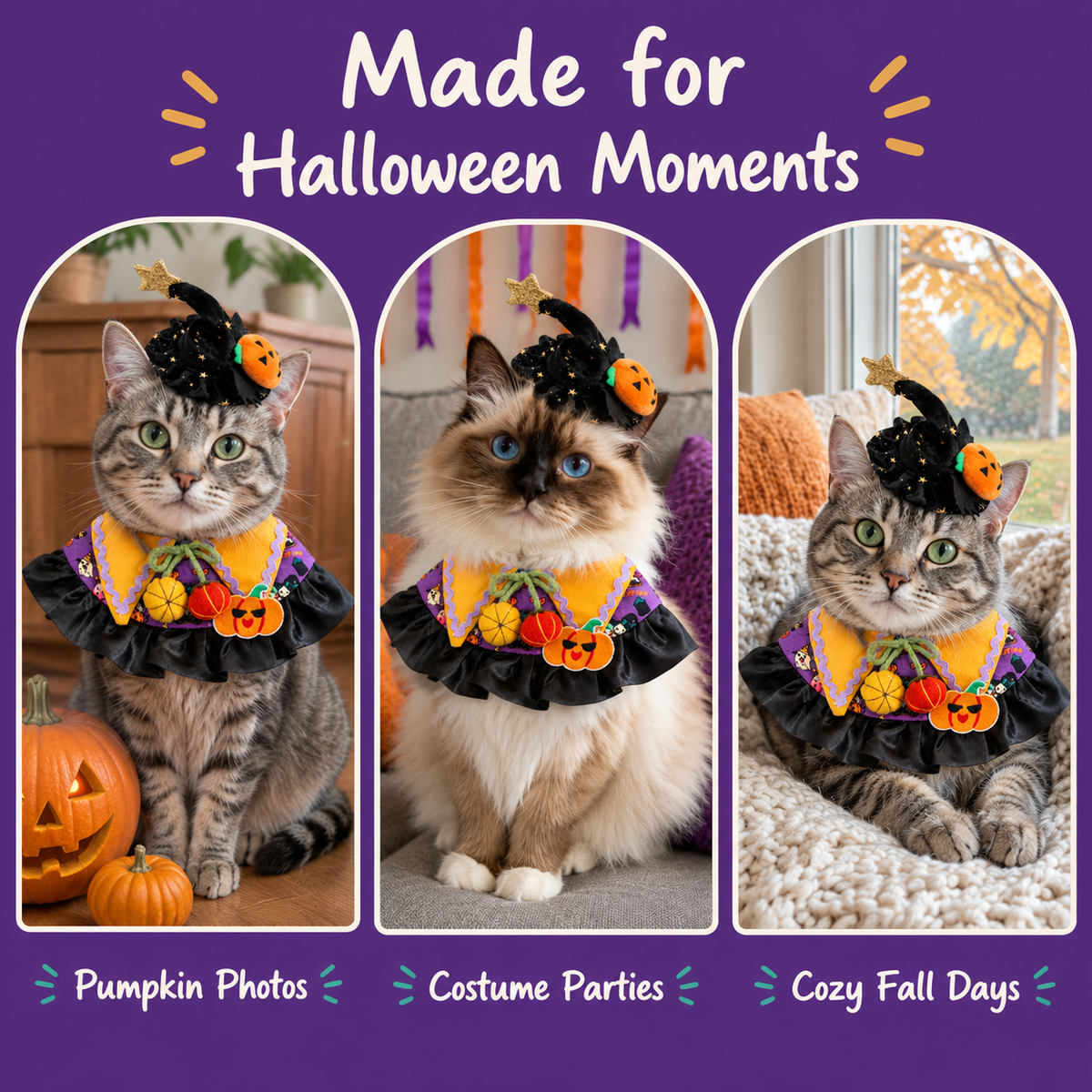 LitterBond Little Witch Collar & Hat Set - Halloween moments
