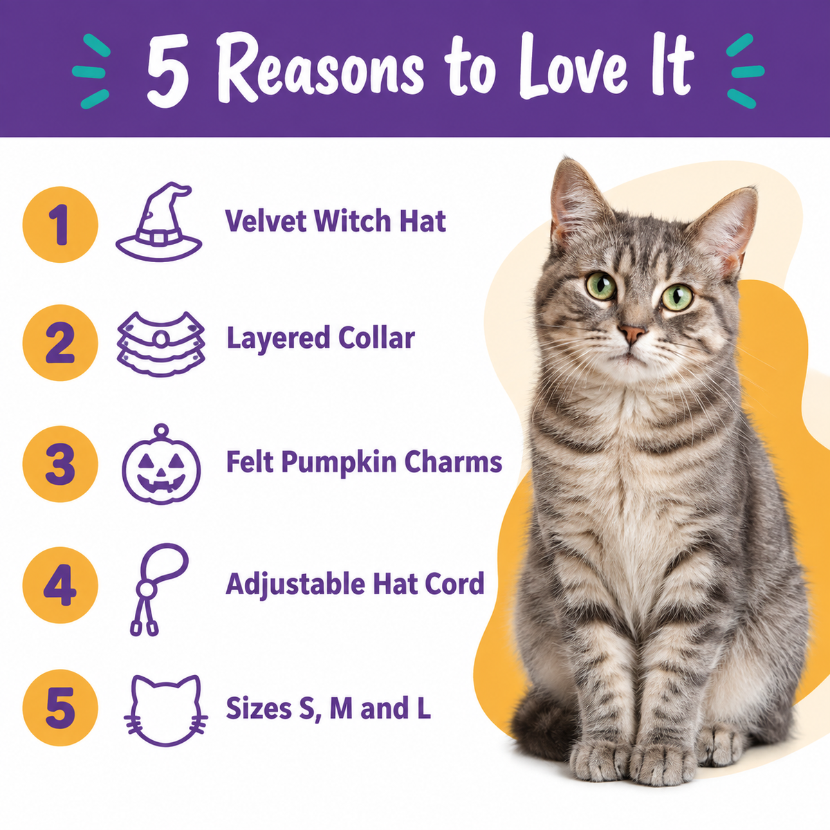 LitterBond Little Witch Collar & Hat Set - 5 reasons to love it