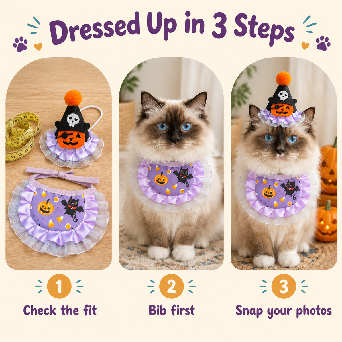 LitterBond Halloween Bib & Party Hat Set - how to put it on