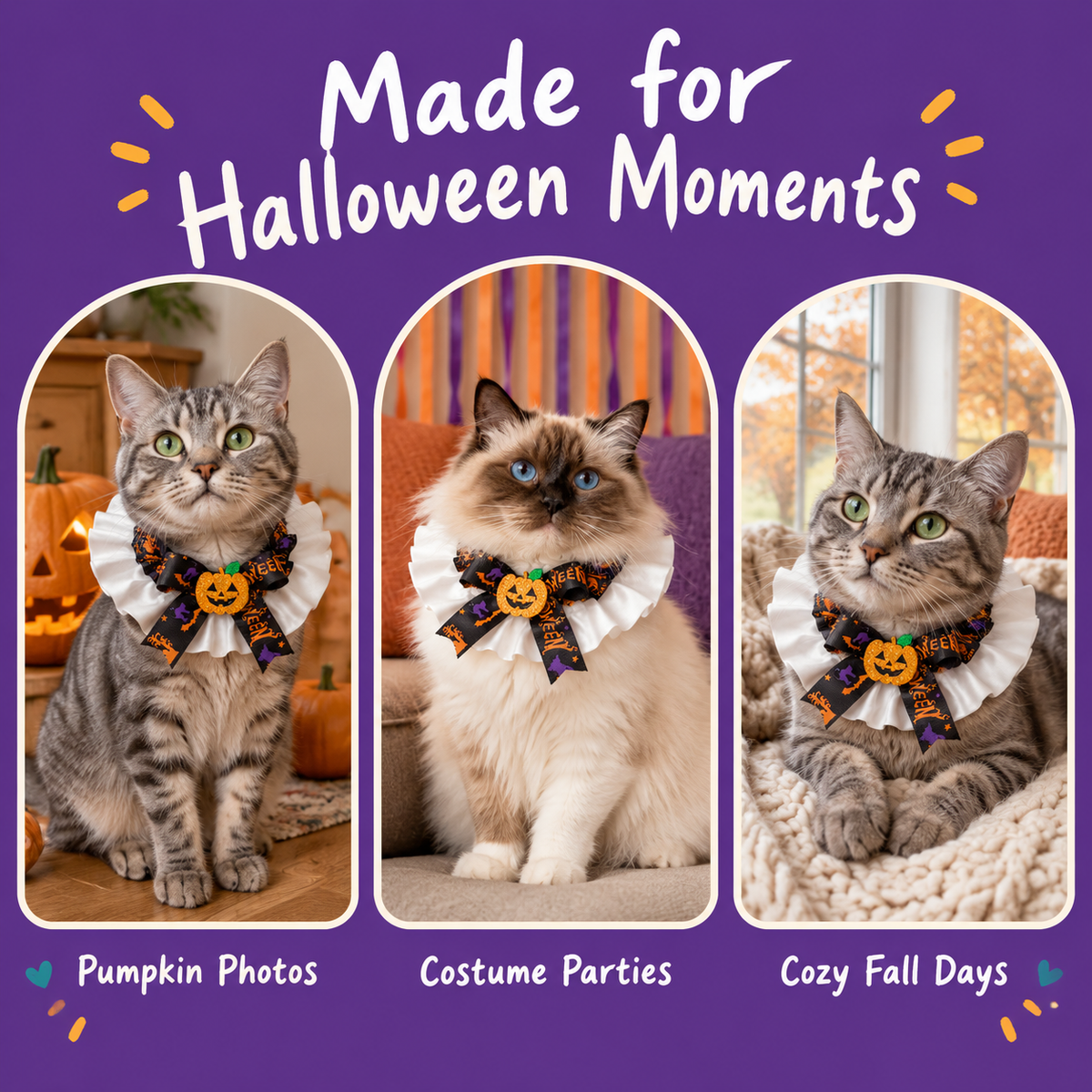 LitterBond Satin Ruffle Halloween Bow Collar - Halloween moments