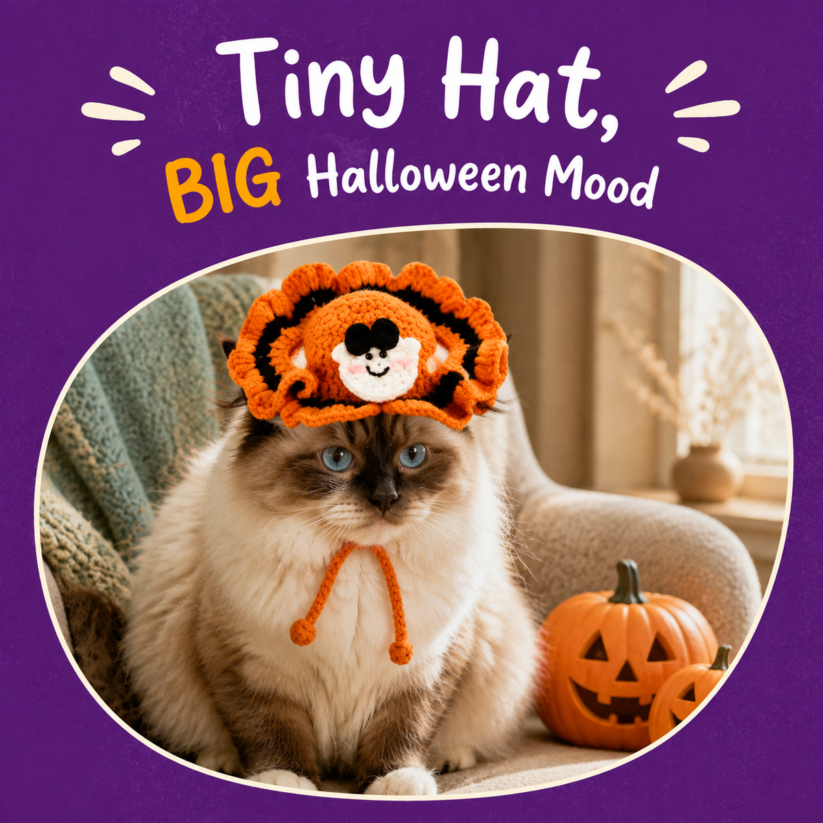 LitterBond Crochet Ruffle-Brim Halloween Hat - how it looks on a cat