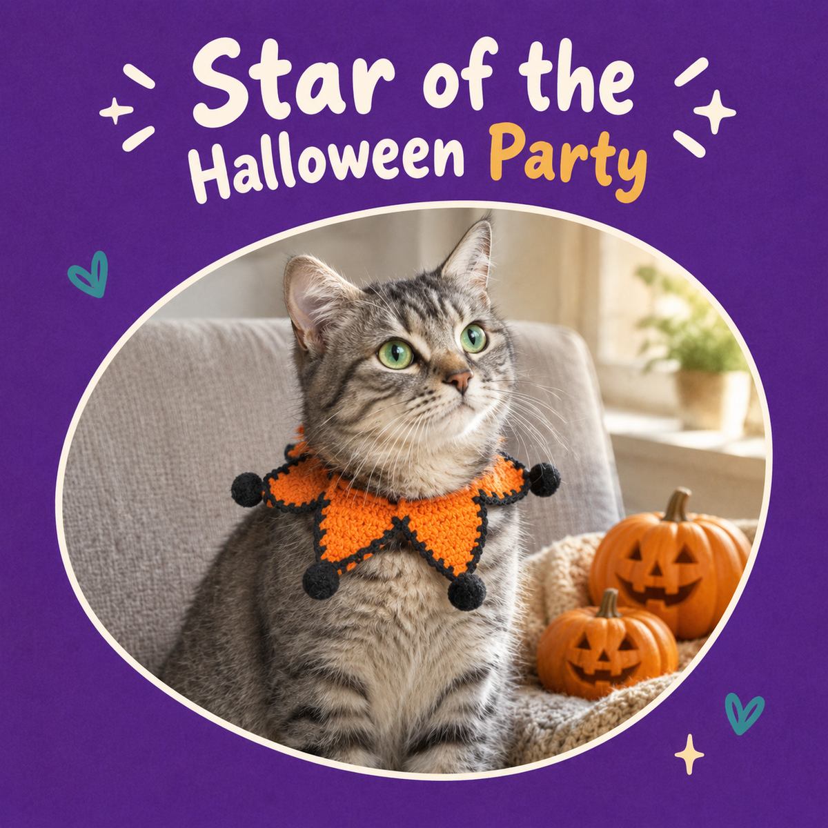 LitterBond Crochet Star Halloween Collar - how it looks on a cat