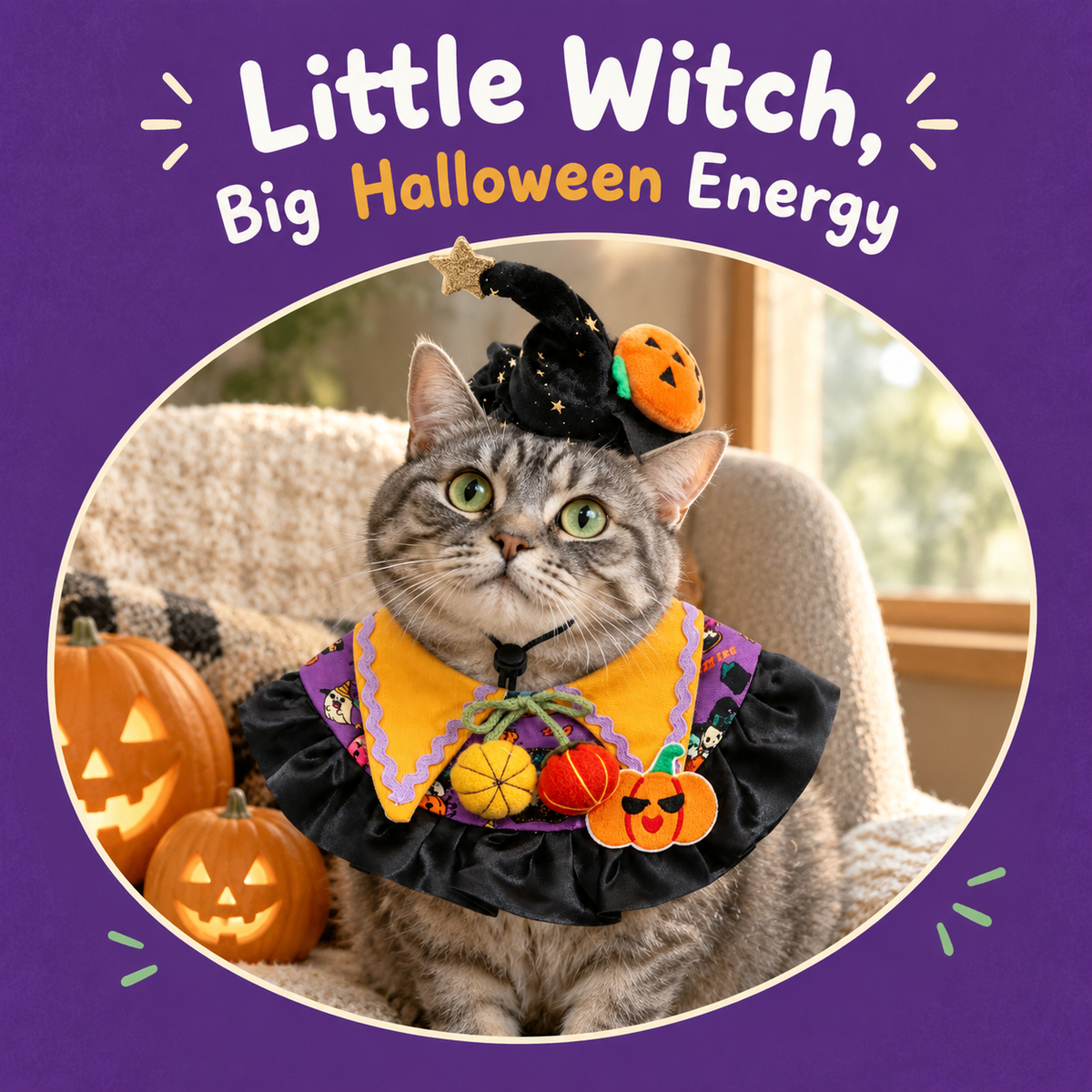 LitterBond Little Witch Collar & Hat Set - how it looks on a cat