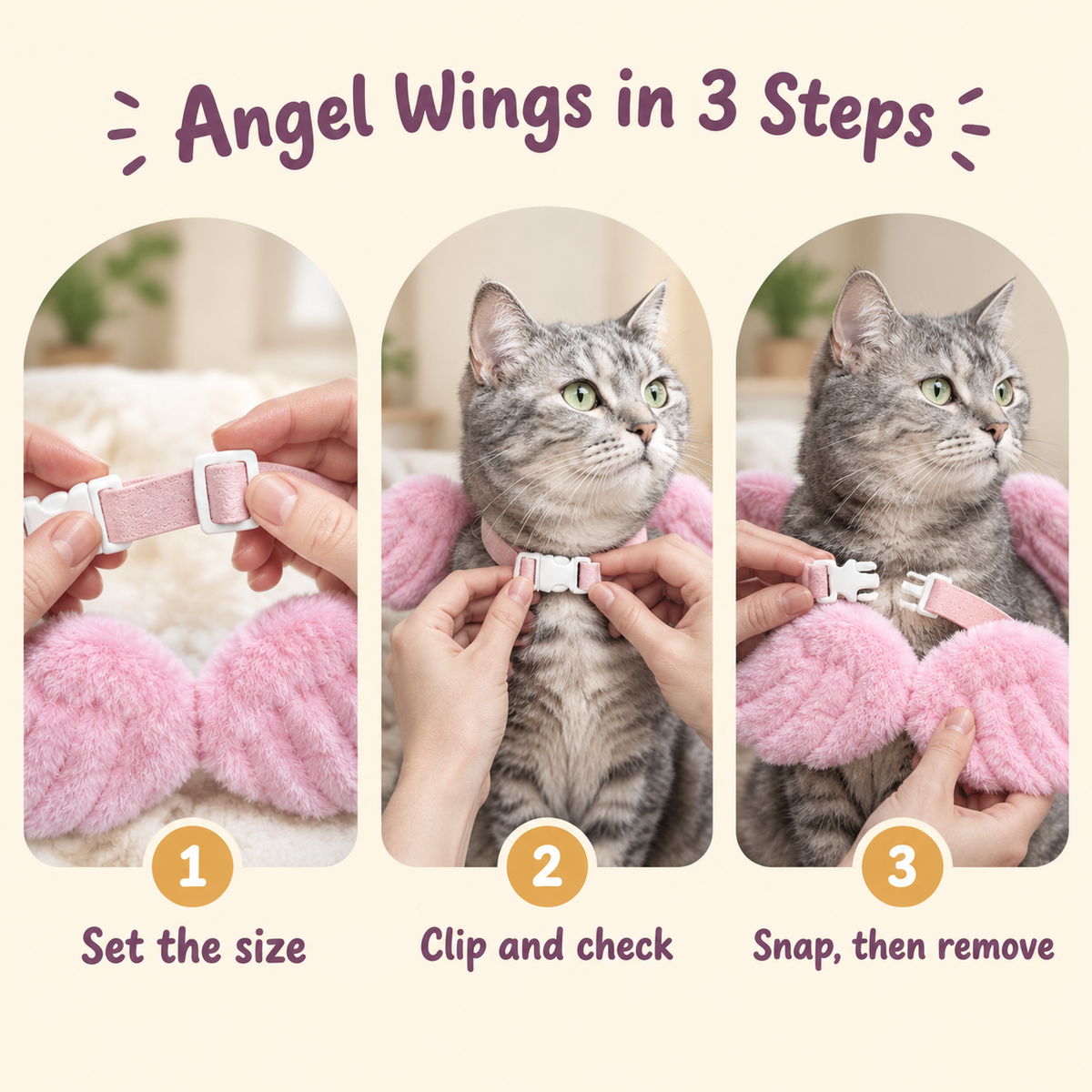 LitterBond Plush Angel Wings Collar - how to use in 3 steps
