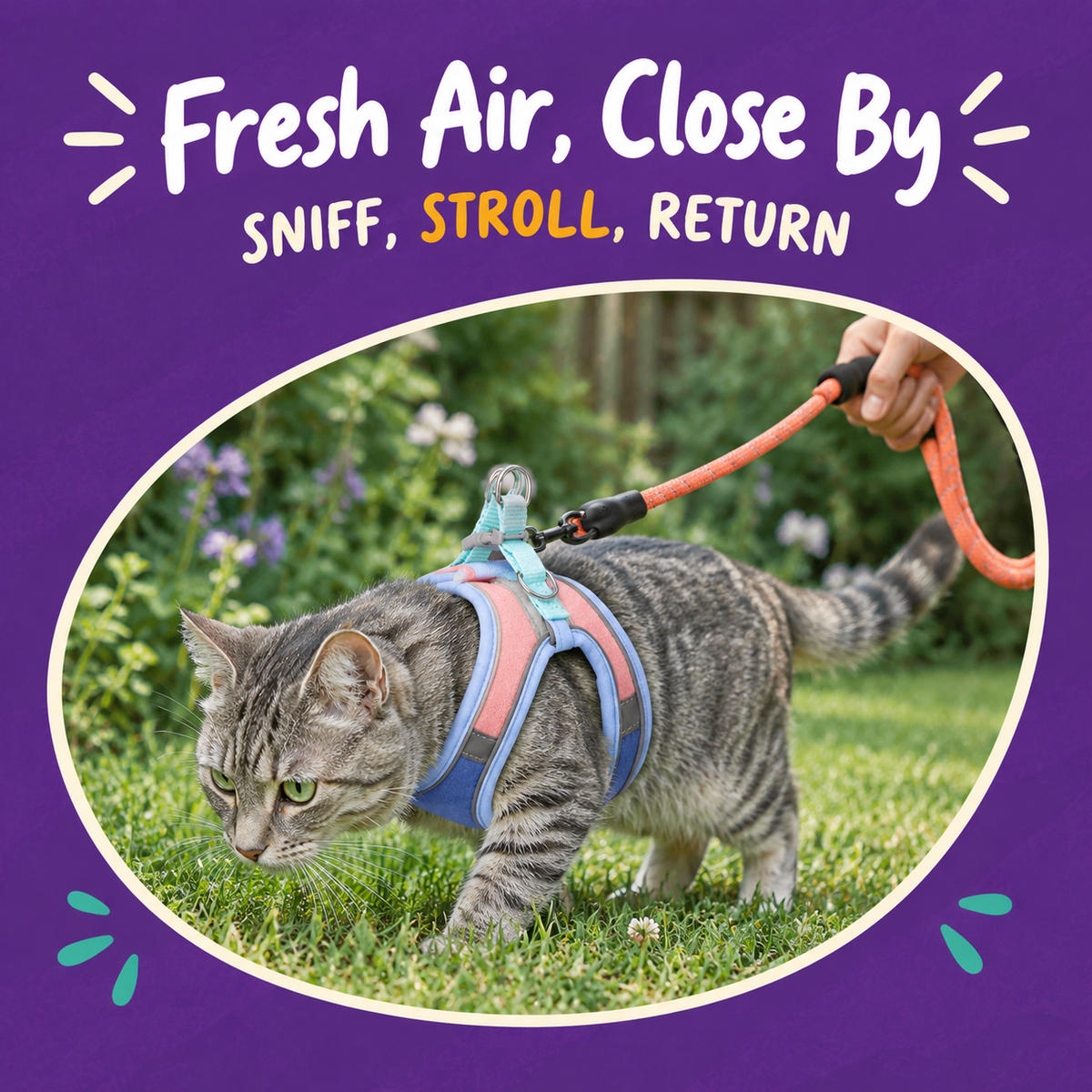 LitterBond Vest Harness & Reflective Leash Set - in use with a cat