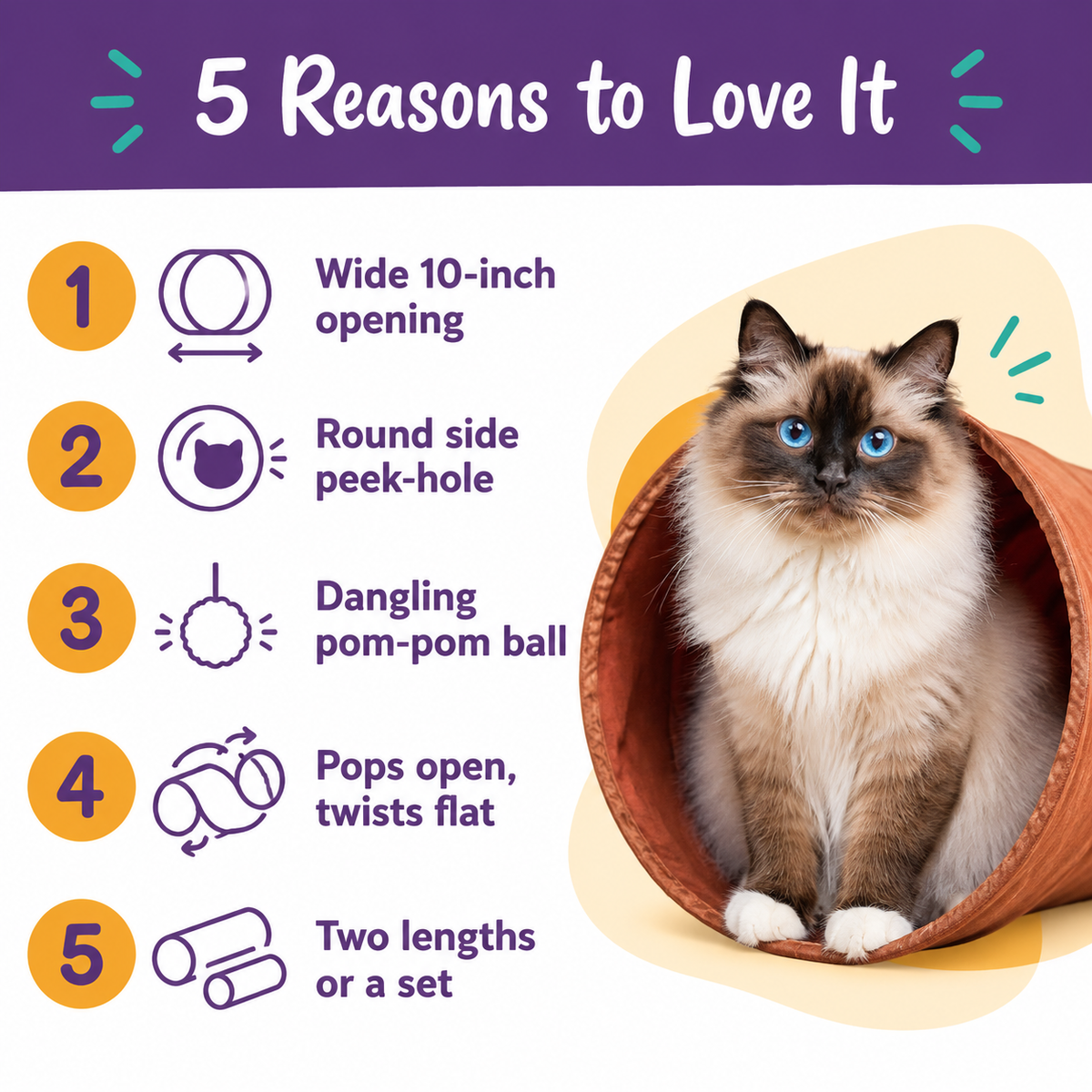 LitterBond Collapsible Play Tunnel - 5 reasons to love it
