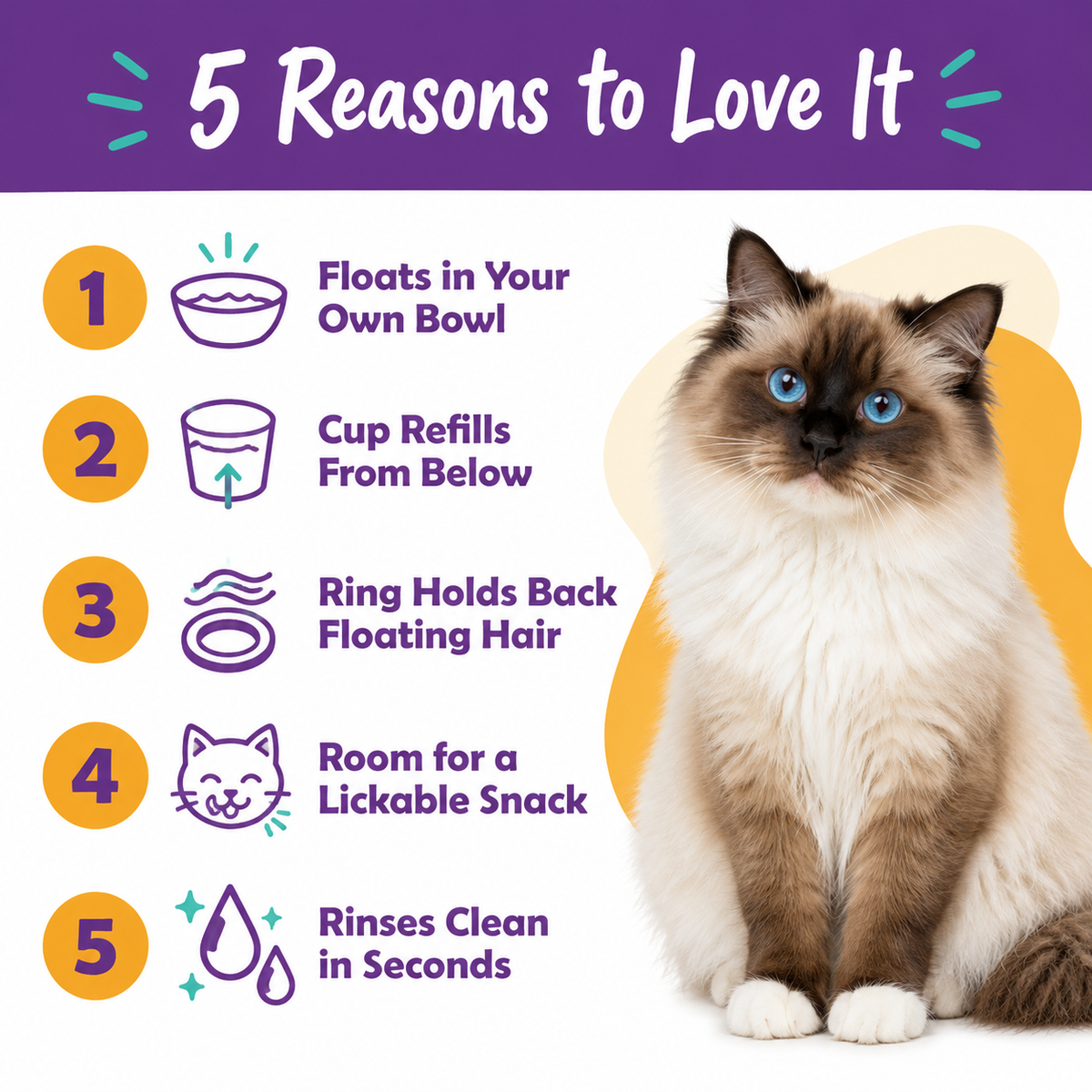 LitterBond Floating Water Bowl Ring - 5 reasons to love it