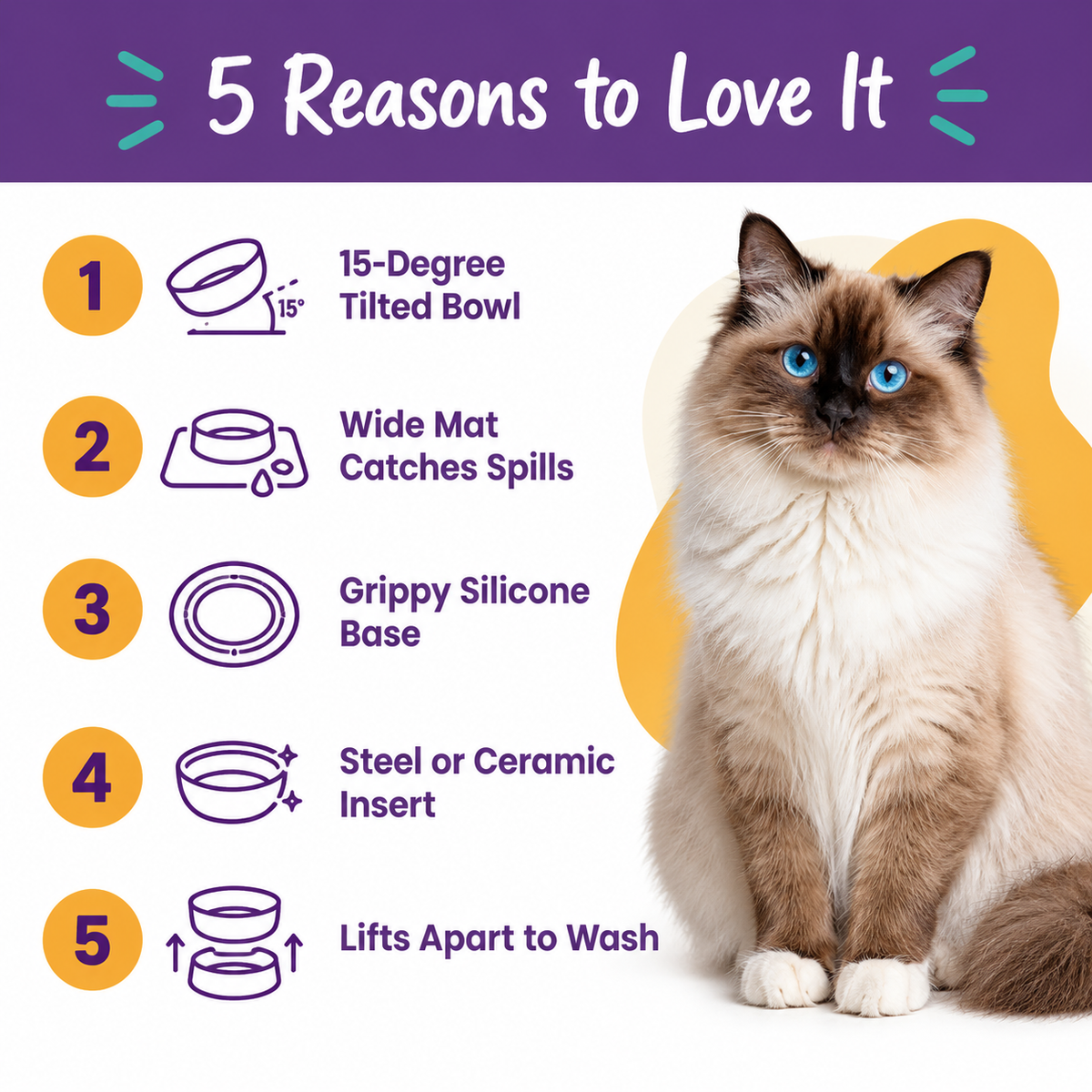LitterBond Tilted Non-Slip Food Bowl - 5 reasons to love it