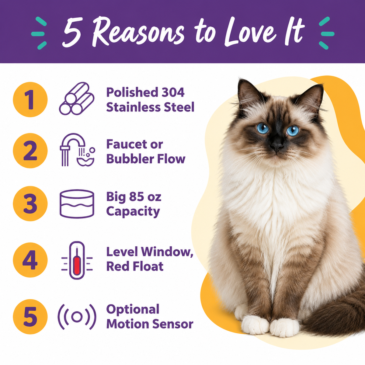 LitterBond Stainless Steel Water Fountain 2.5 L - 5 reasons to love it