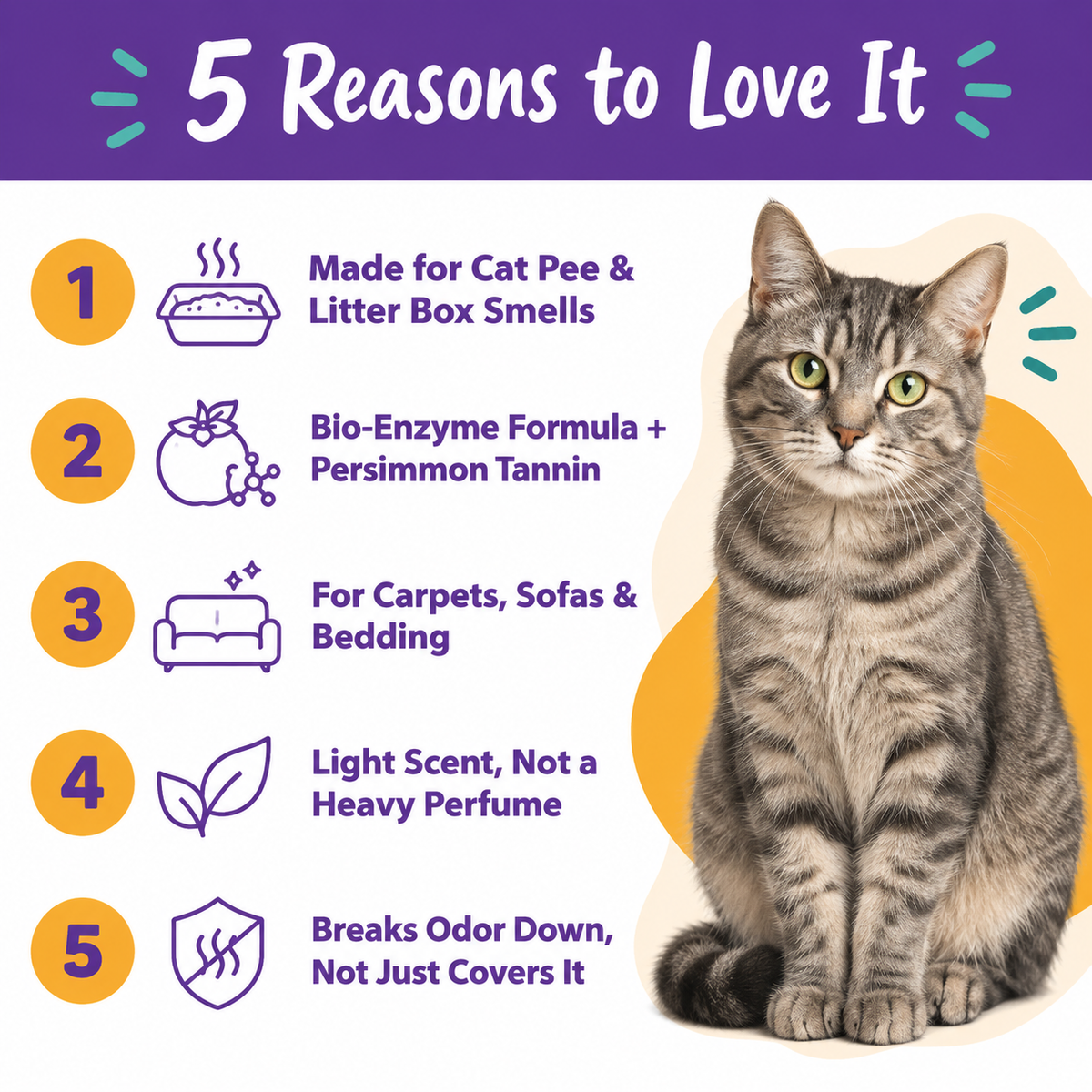 5 reasons to love the LitterBond urine odor spray: made for cat pee and litter box smells, bio-enzyme formula with persimmon tannin, for carpets, sofas and bedding, light scent, breaks odor down