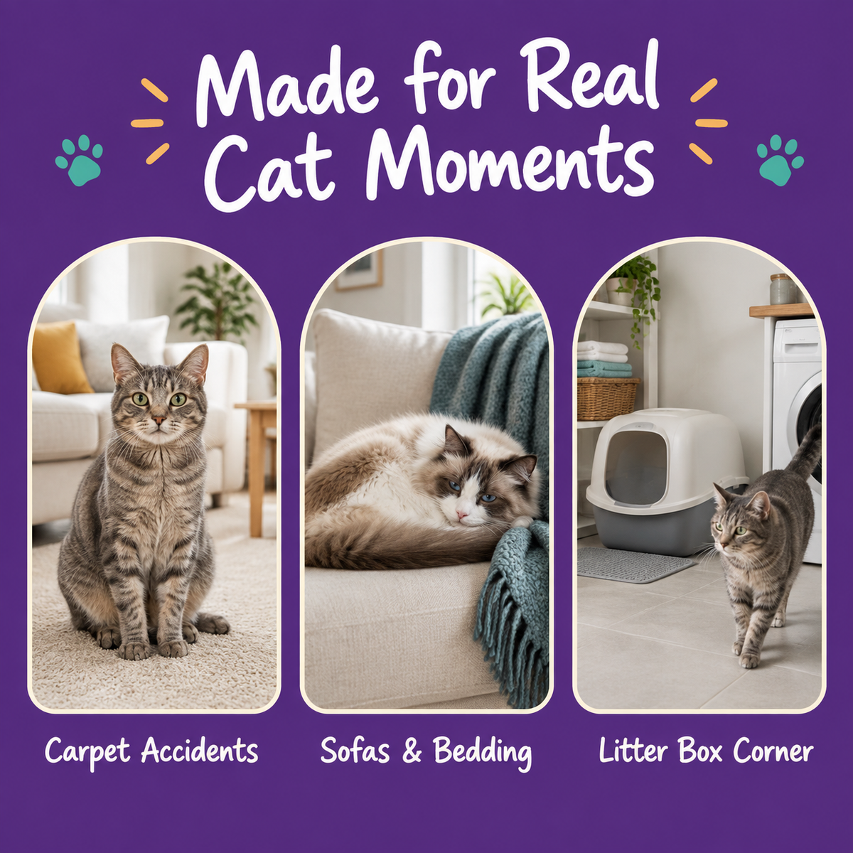 Where to use it: carpet accidents, sofas and bedding, and the litter box corner