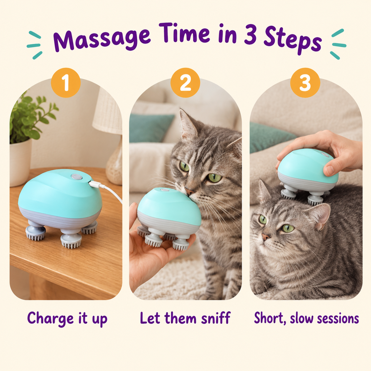 LitterBond Electric Head Massager - how to use in 3 steps