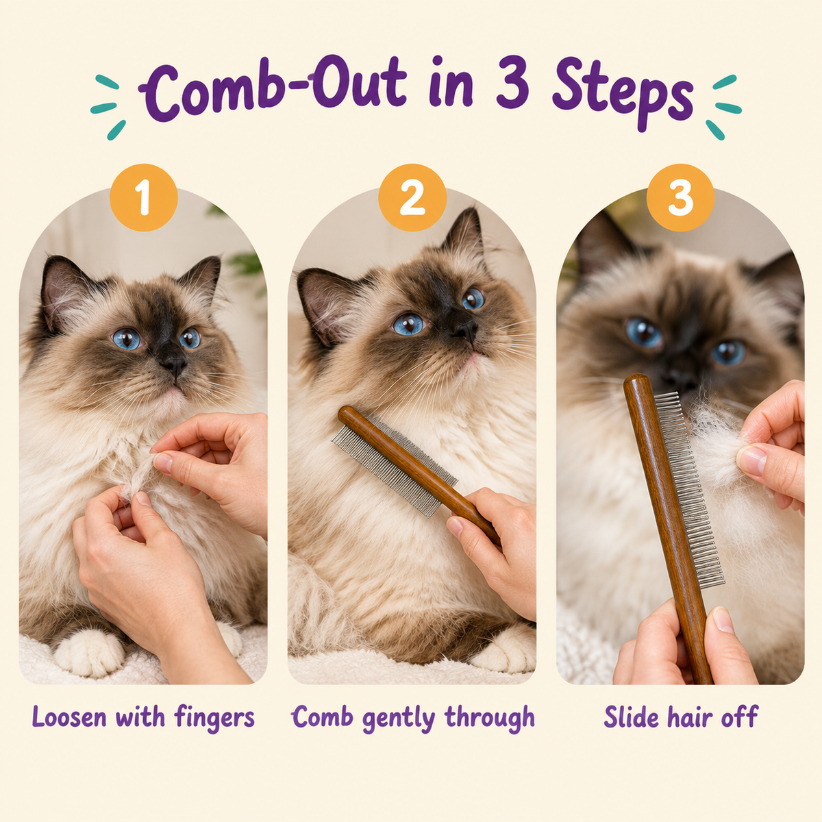 LitterBond Wooden Handle Steel Comb - how to use in 3 steps
