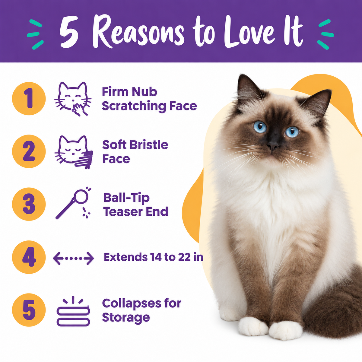 LitterBond Telescopic Scratcher & Teaser Wand - 5 reasons to love it