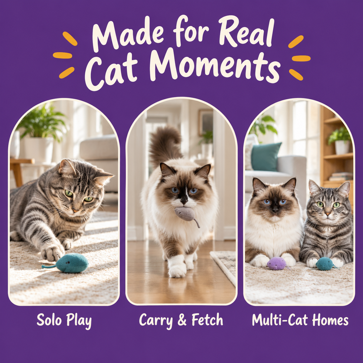 Real cat moments with LitterBond Macaron Fluffy Catnip Toys