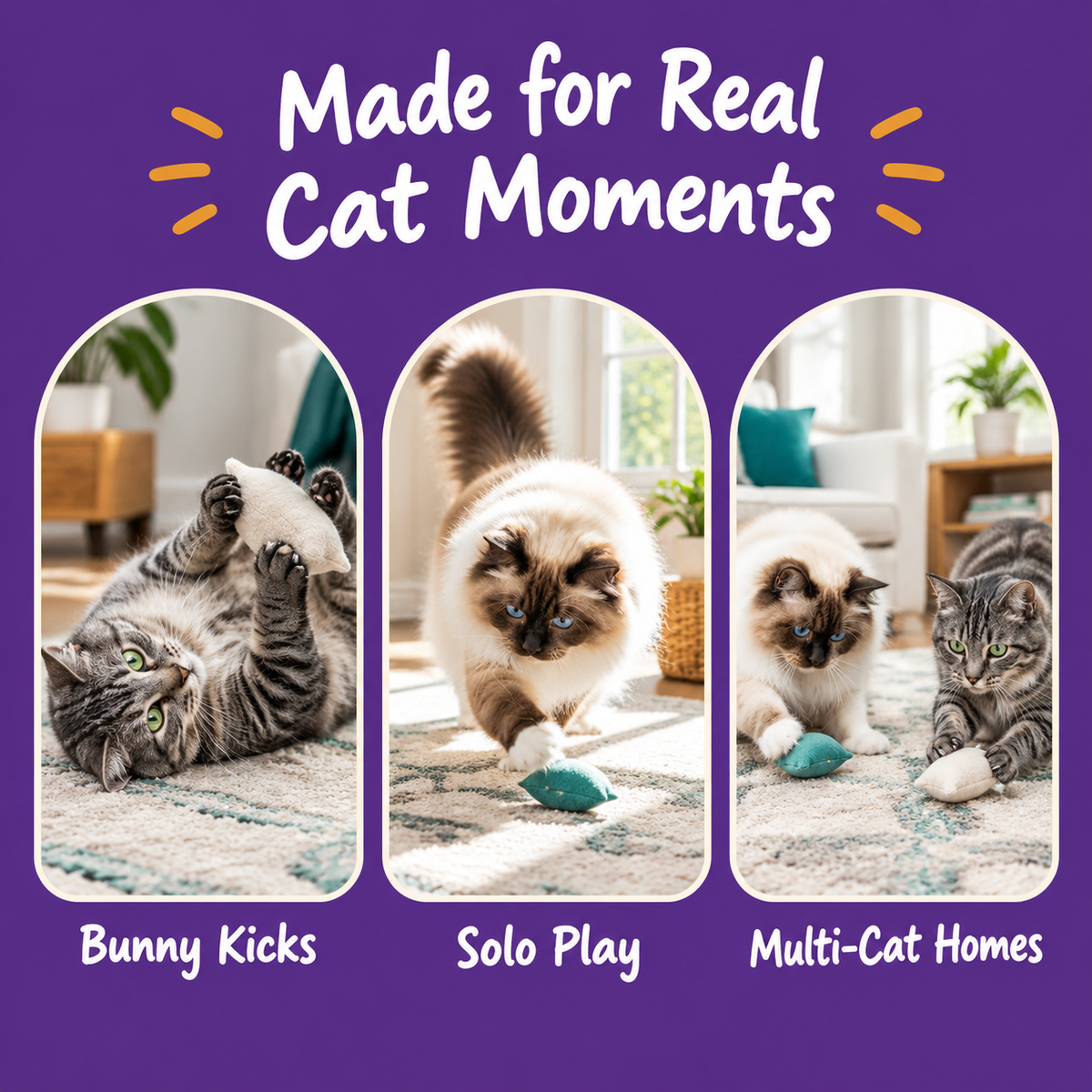 Real cat moments with LitterBond Crinkle Chip Bag Kickers