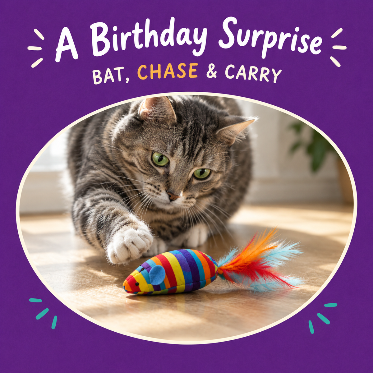 Cat playing with LitterBond Happy Birthday Catnip Mice: A Birthday Surprise