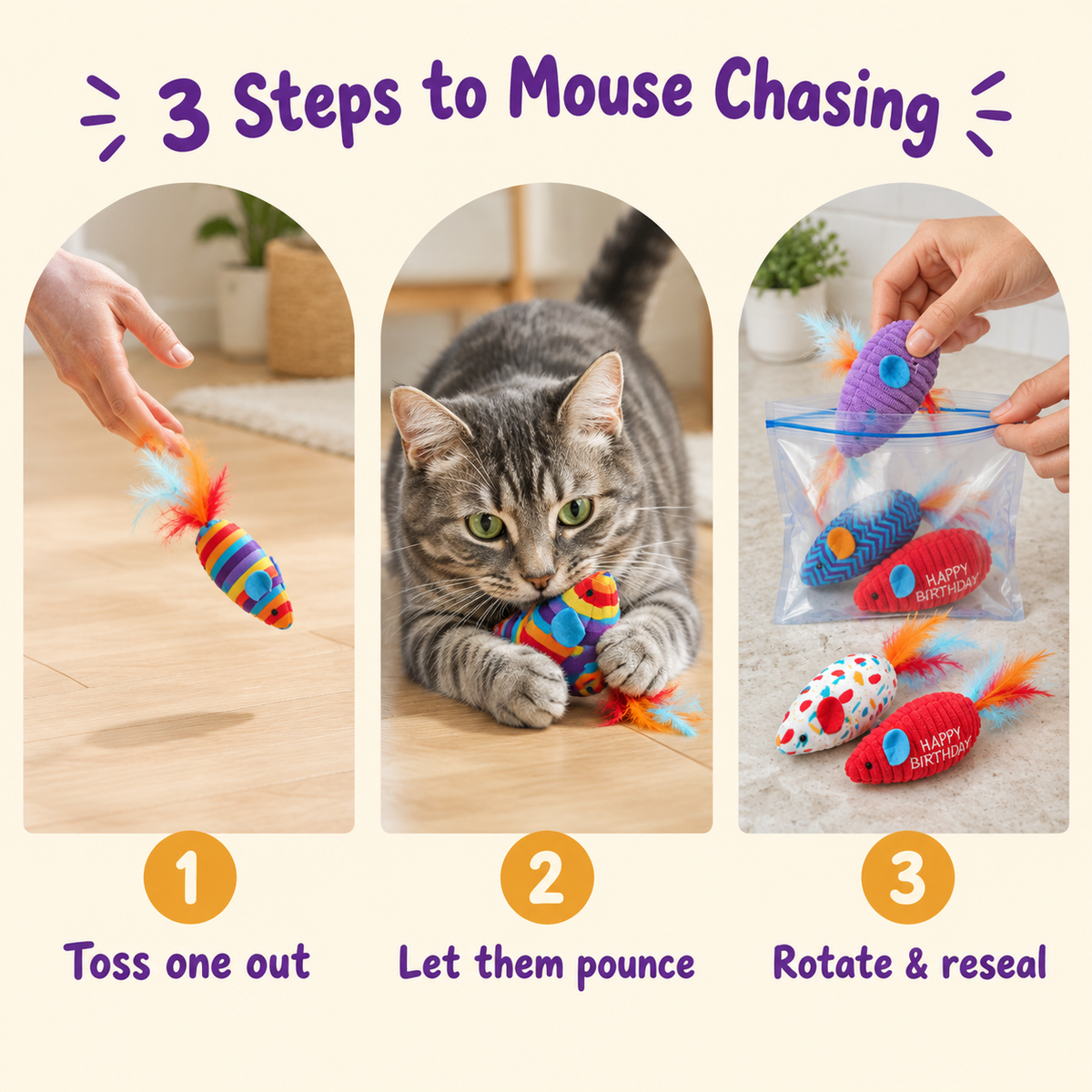 3 Steps to Mouse Chasing: how to play with LitterBond Happy Birthday Catnip Mice
