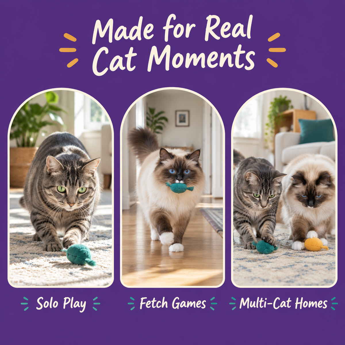 Real cat moments with LitterBond Happy Birthday Catnip Mice