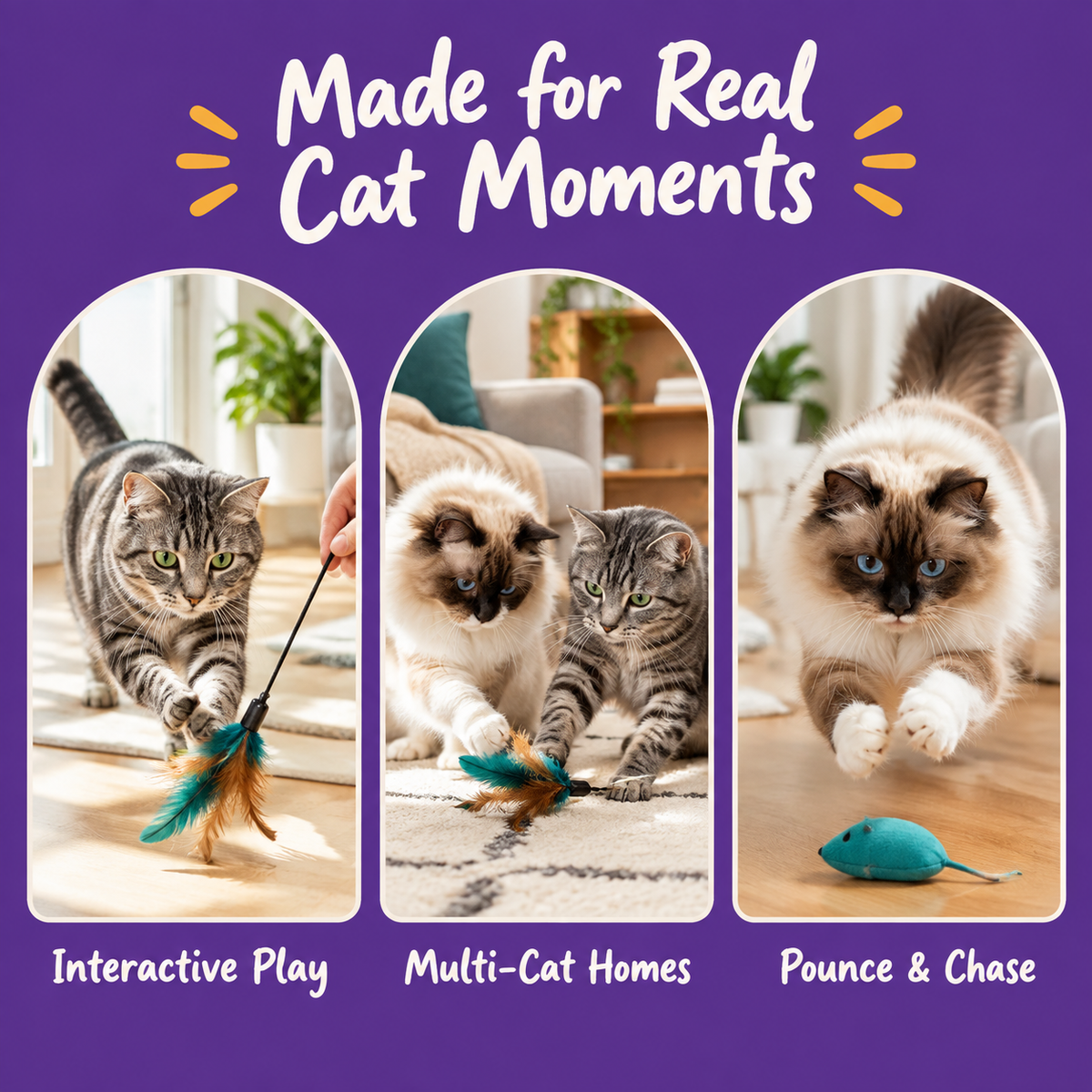 Real cat moments with LitterBond Silvervine Bead Feather Toys