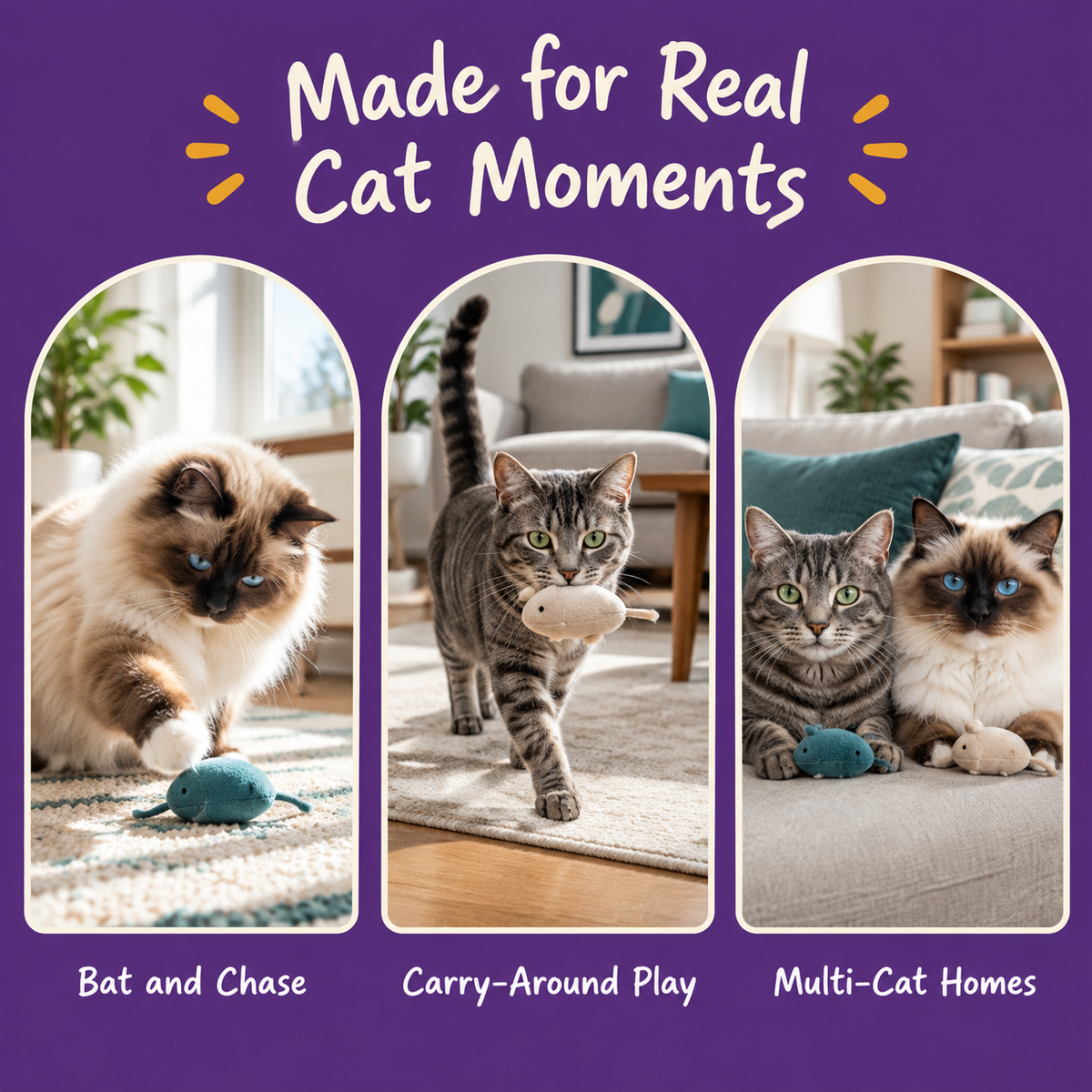 Real cat moments with LitterBond Bug & Bloom Catnip Toys