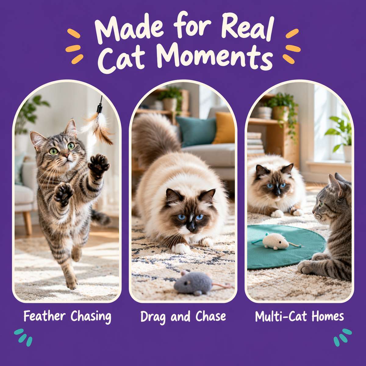 Real cat moments with LitterBond Boho Feather Tail Catnip Toys