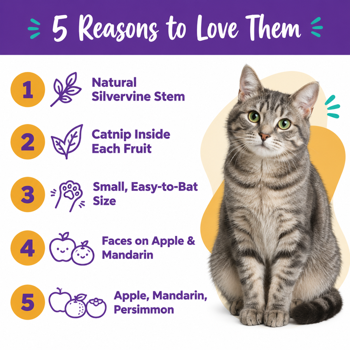 5 reasons to love LitterBond Mini Fruit Silvervine Toys