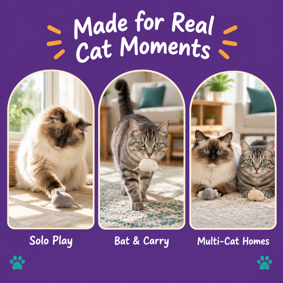 Real cat moments with LitterBond Mini Fruit Silvervine Toys