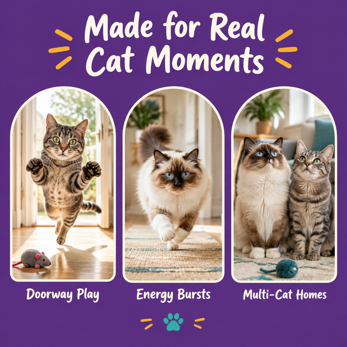Real cat moments with LitterBond Party Hat Bungee Toys