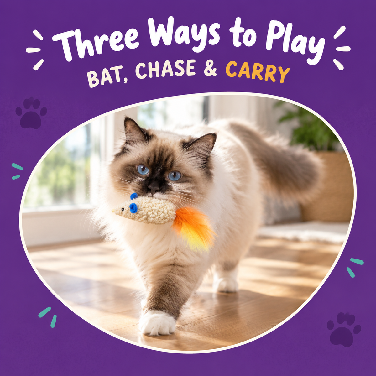 Cat playing with LitterBond Textured Catnip Mouse Trios: Three Ways to Play