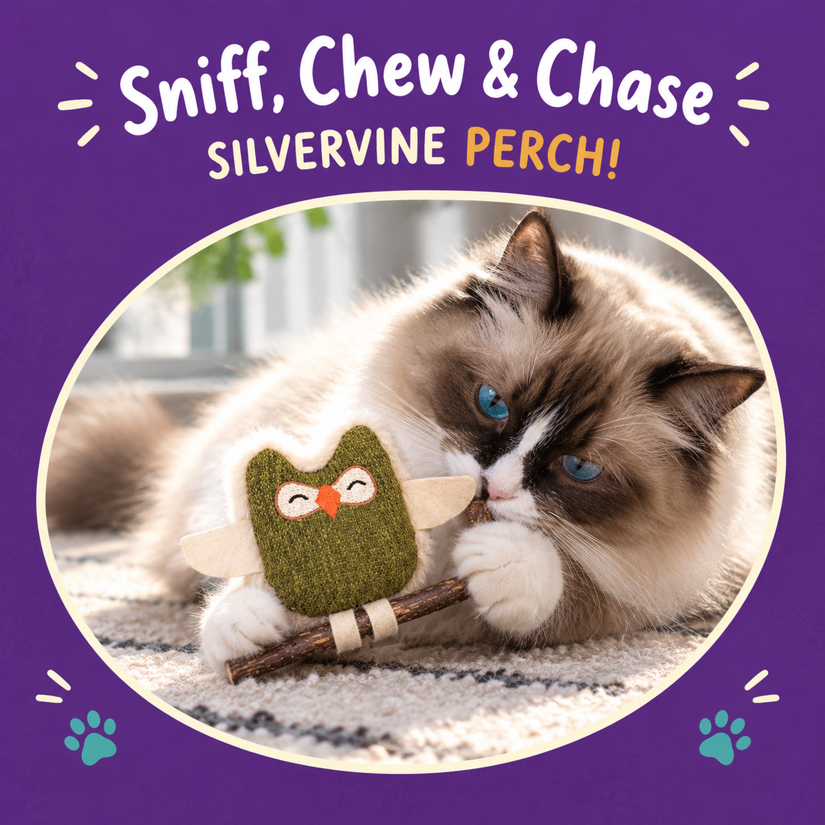 Cat playing with LitterBond Rustic Owls & Feather Balls: Sniff, Chew & Chase