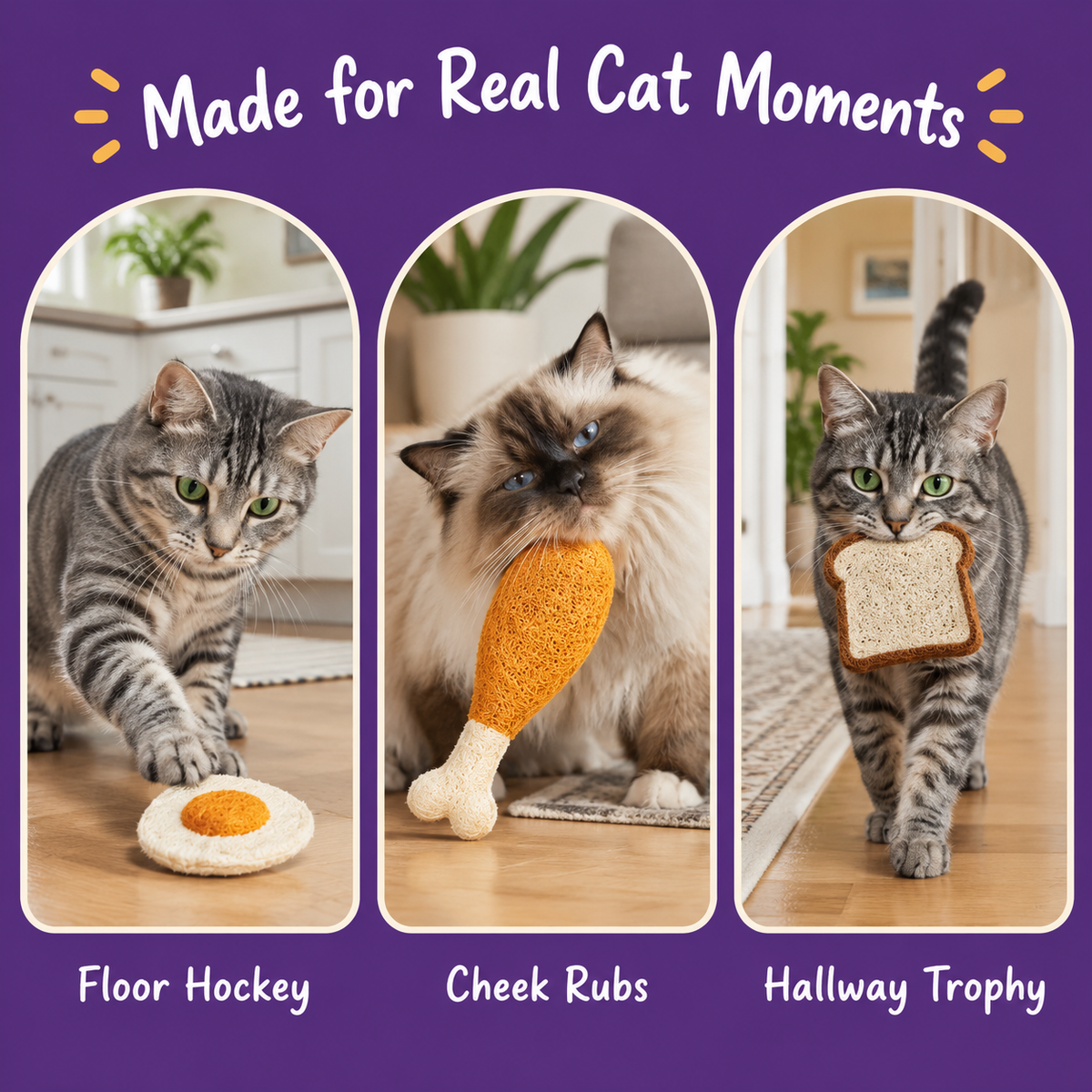 LitterBond Loofah Breakfast Silvervine Chews - real cat moments