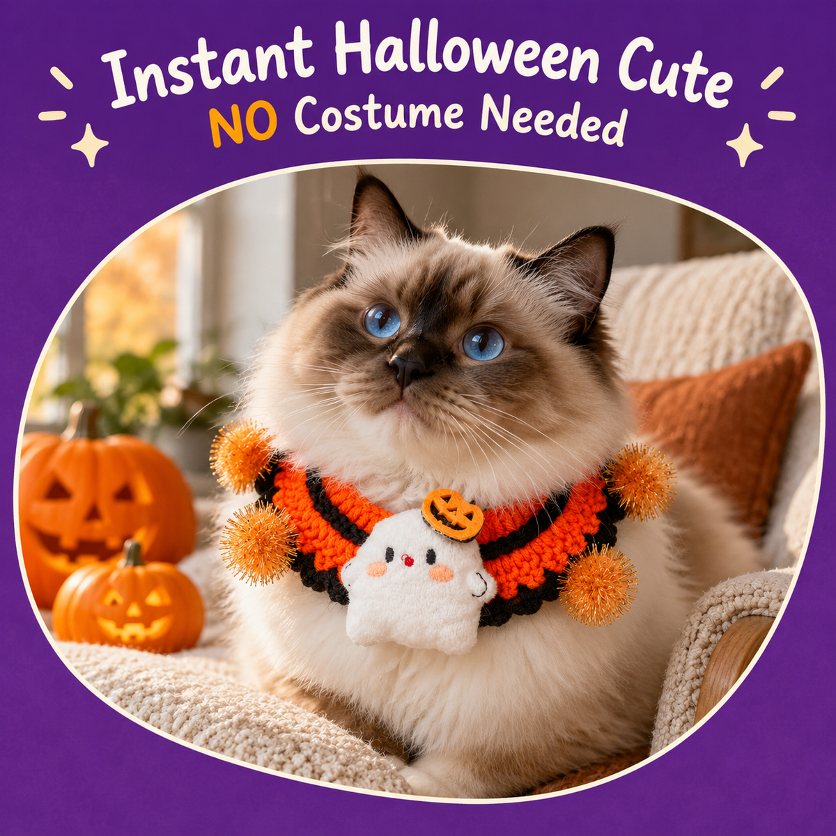 Cat wearing the LitterBond Crochet Halloween Collar with Plush Charm: Instant Halloween Cute NO Costume Needed