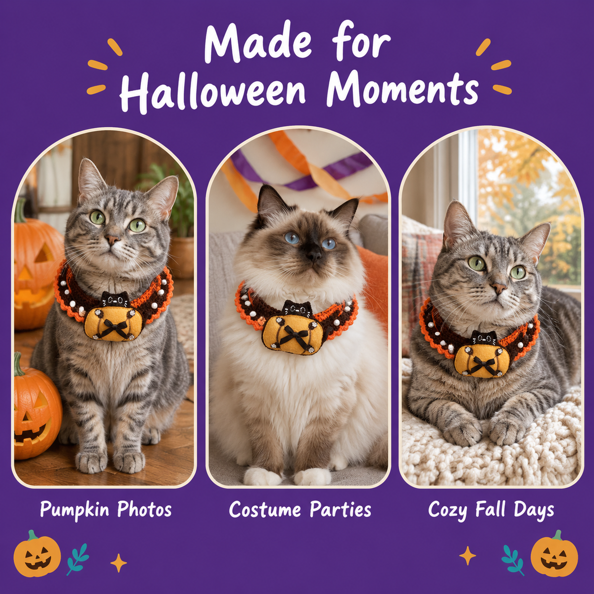 Cats wearing the LitterBond Pearl-Trim Crochet Halloween Collar for Halloween photos, parties and cozy fall days