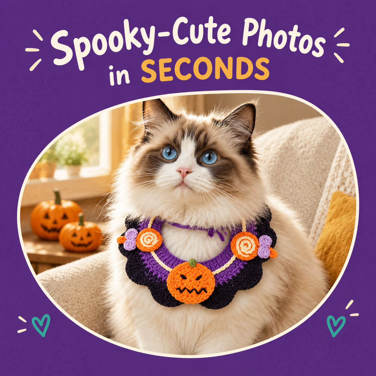 Cat wearing the LitterBond Crochet Halloween Bib Collar: Spooky-Cute Photos in SECONDS
