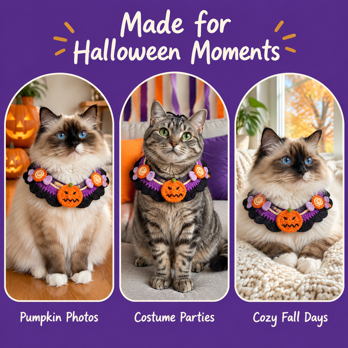 Cats wearing the LitterBond Crochet Halloween Bib Collar for Halloween photos, parties and cozy fall days