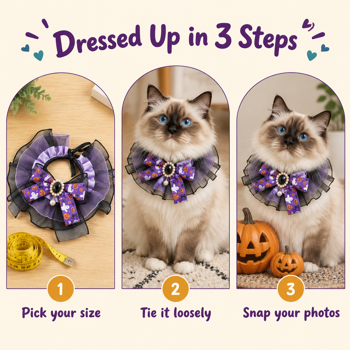 How to put on the LitterBond Organza & Satin Halloween Bow Collar in 3 steps